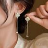 Elegant Silver Needle Butterfly Tassel Earrings: Unique High-End Fairy Design for a Cool, Feminine Touch