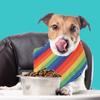 Colorful Scarf for Pet Neck Decorations Colorful Love Wins Triangular Towel Dog Scarf Pet Neckerchief Scarf