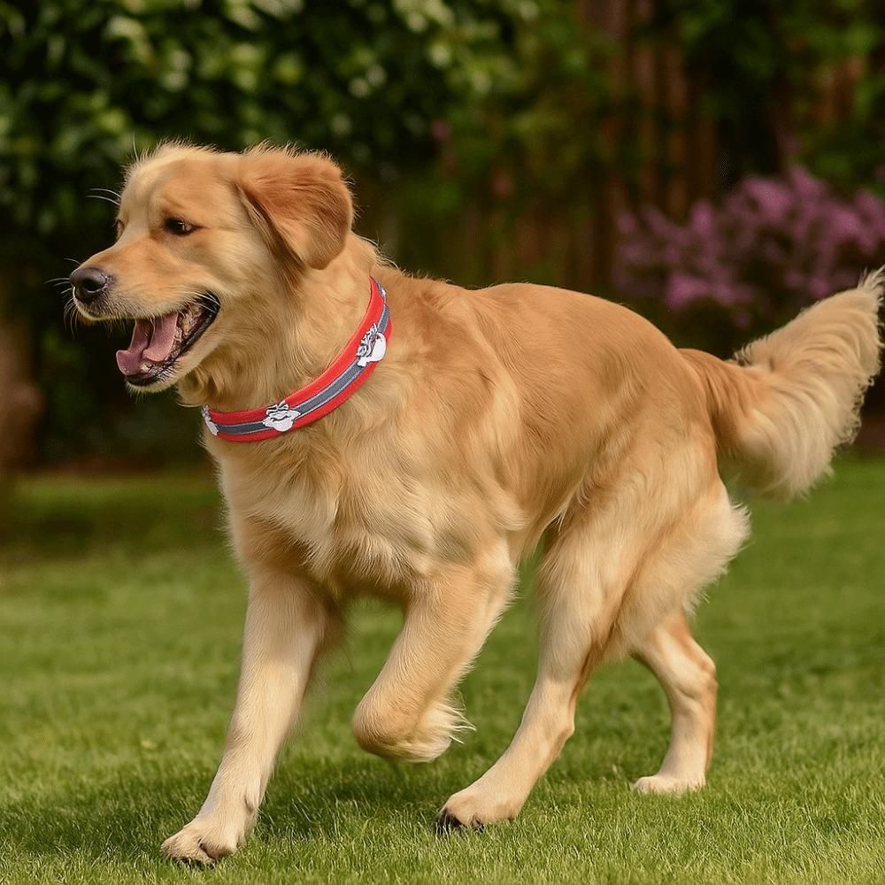 Adjustable Reflective Dog Collar Leather Dog Necklace Durable Rivets Pet Collar  Pet Supplies