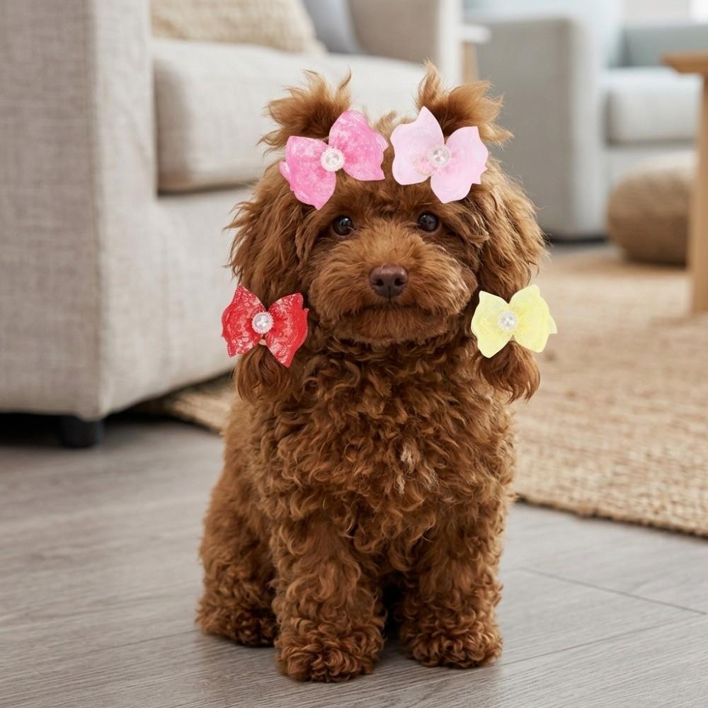 20Pcs Non-elastic Dog Hair Flower Bow Shape Pet Lace Headwear Pet Bow Hair Band  Daily Decoration