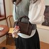 2024 Boston Contrast Color Handbag: Versatile, Fashionable Pillow Shoulder & Crossbody Bag for Women