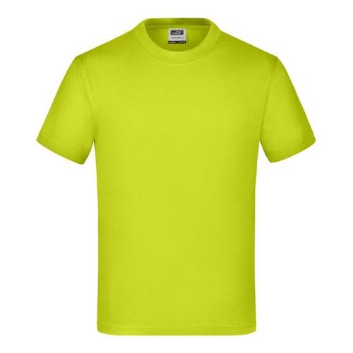 

James and Nicholson Childrens/Kids Basic T-Shirt 12-13