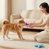 Köpek – Köpek oyuncakları
