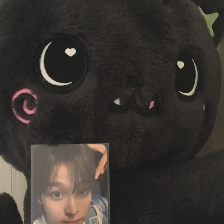 

Ncitywish Riku Doll Bag Kuri Bag Wishdoll With Photocard