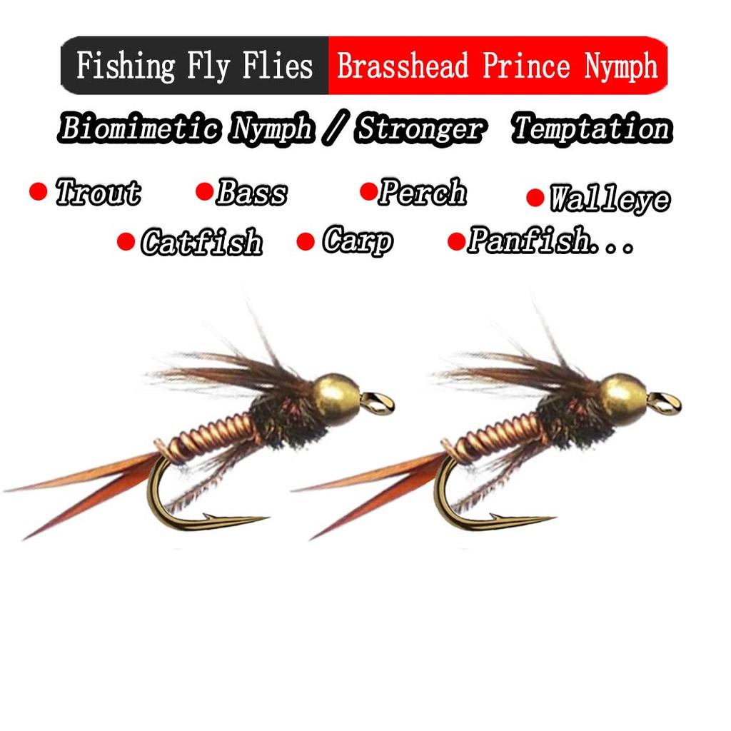 Fishing Lure 5Pcs/Box Fast Sinking Wire Tungsten Bead Head Nymph Flies Trout Fly Fishing Lures