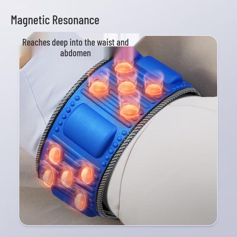 Chigo Rechargeable Heating Vibration Waist Massager