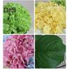 Exquisite Details Faux Hydrangea Non-fading Creative Artificial Silk Hydrangea Flower