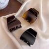 Matte Shark Clip Long Lasting Styling Back of The Head Clip  Hair Accessories