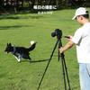 CONCEPT 190cm Camera Travel Tripod for Cameras and 4kg Weight Portable Profile Remote Detachable Video and Manfrotto Quick Release Plate K&F Tripod,