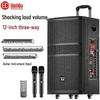HuiDu NB-800L 12-inch Portable Outdoor Karaoke Speaker