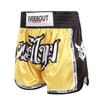 Mens Quick-Dry Muay Thai Shorts Breathable Martial Arts Training Pants Boxing Kickboxing Gym Workout