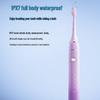 FT7105 Sonic Electric Toothbrush CN Plug (adapter Included)