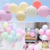 BTZO Balloon 100 Pieces 10-inch Round Macaron Color Latex Balloons Pastel Matte Decoration Birthday Wedding Store Display Party Sports Day Cultural