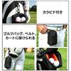 Golf ball case for 2 golf balls, 4 needle positions