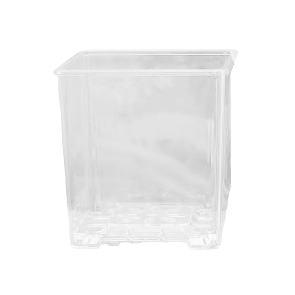 Clear Breathable Plant Container Desktop Ornament Planter Plant Pot Crafts Decors Planter Landscape Crafts