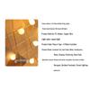 Beigong LED Globe Fairy String Lights