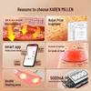 CLORIS Graphene Heated Menstrual Relief Belt CN plug (adapter included)