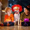 Halloween Costume for Dog Cloak Halloween Cat Costume Birthday Dress Pet Vampire Apparel Spooky Cape for Small Medium Dogs Cats