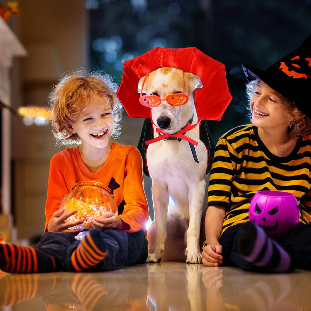 Halloween Costume for Dog Cloak Halloween Cat Costume Birthday Dress Pet Vampire Apparel Spooky Cape for Small Medium Dogs Cats
