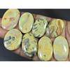 330Cts. Natural Australian Crazy Lace Agate Oval Cabochon Gemstone 08Pcs Lot C-1189