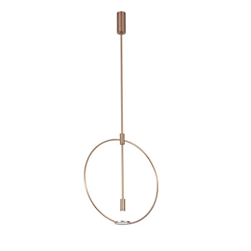 Nordic Ring Pendant 45cm/60cm Golden Pendant Simple Model Room Dining Room Living Room Art Exhibition Decorative Light 45CM&warm light