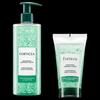 Rene Furterer Forticia Shampoo Set