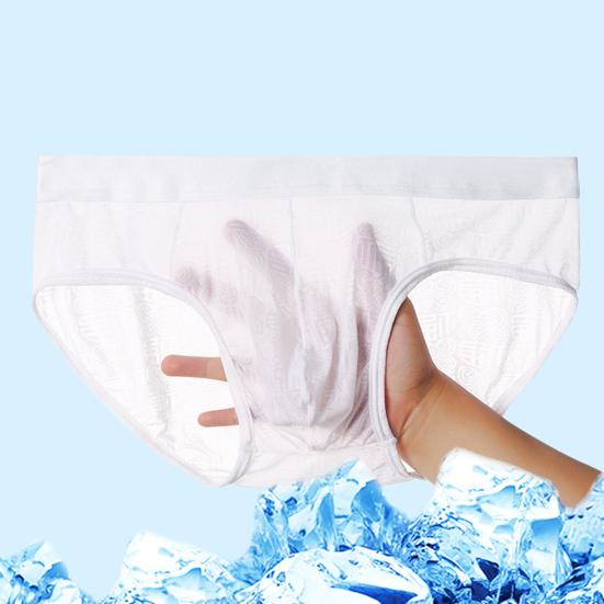 Men Briefs Jacquard Stretchy Male Ice Silk See Through Panties for Home