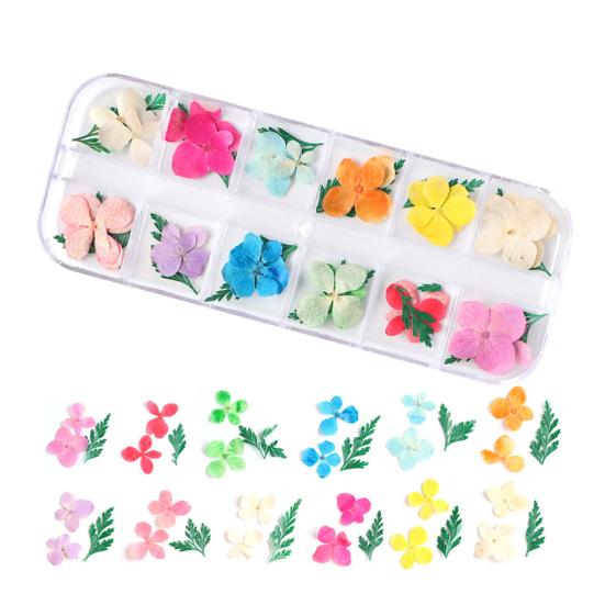 Nail Art Trockenblumen Einzigartige exquisite konservierte Nagelaufkleber aus Kunststoff für Nagelstudios