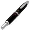 Pilot Namiki CAPLESS RADEN Fountain Pen STRIPE Fine Nib FCN-5MP-RS-F with Converter
