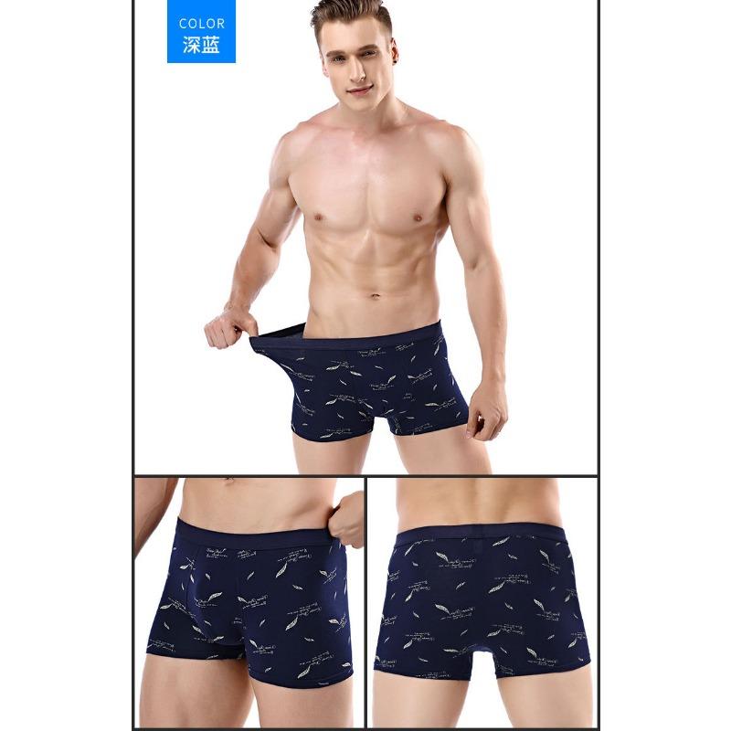 Printed Cotton Mens 3d Boxer Briefs