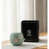 Wanchientang Plum Blossom Portable Travel Tea Set (One Pot, One Cup)