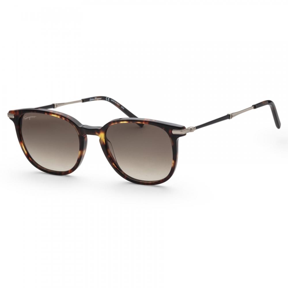 

Ferragamo Women s Fashion 52mm Sunglasses