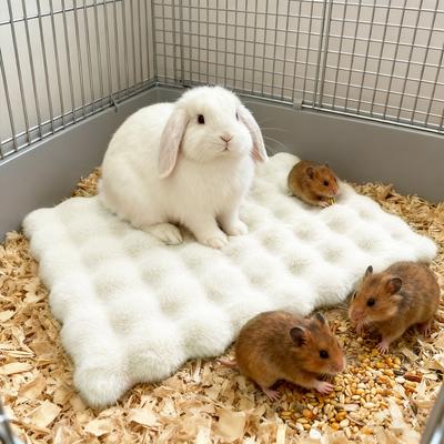 1PC Warm Winter Autumn Rabbit Mat Soft Fleece Pet Sleeping Mat for Small Animal Kitty Hamster Rabbit Cozy Thickened Bed Mat Pad