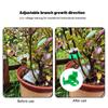50/10 Pezzi Supporto per Piante in Plastica Telaio a Palo Serra Fioriera da Interno Staffa per Piante Clip per Addestramento Piegatura Piante Accessori da Giardino