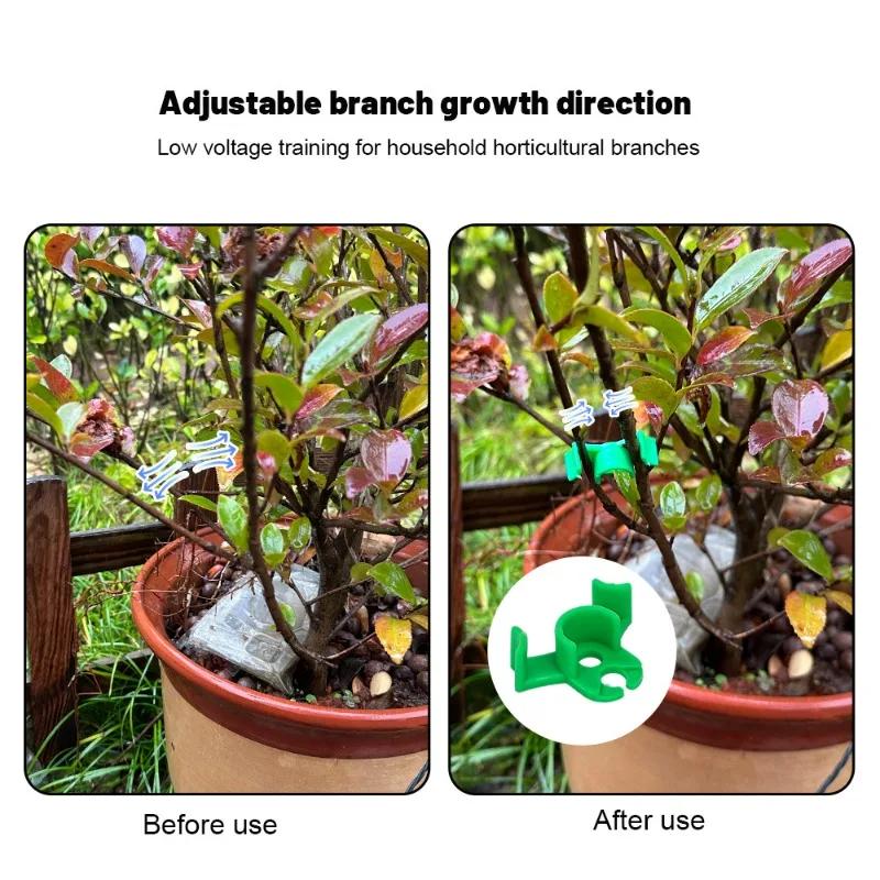 50/10 Pezzi Supporto per Piante in Plastica Telaio a Palo Serra Fioriera da Interno Staffa per Piante Clip per Addestramento Piegatura Piante Accessori da Giardino