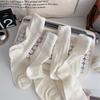 5 Pairs of Women's Summer Thin Lovely Mesh Tube Stack Socks