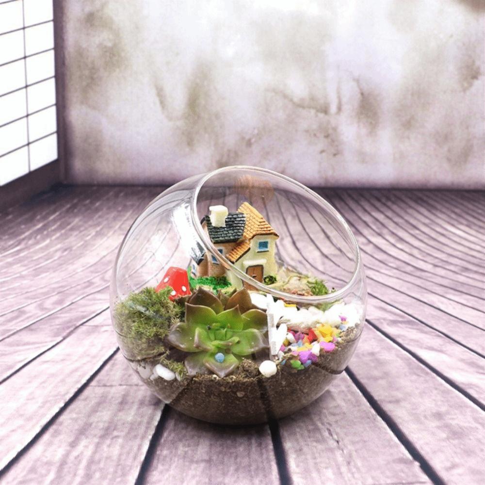Oblique Clear Glass Ball Vase Transparent Plant Terrarium Succulents Plant Container  Home Decor
