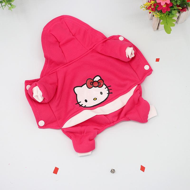 Ρούχα για Κουτάβια Teddy: Ζεστά Φθινοπωρινά & Χειμερινά Ρούχα για Πουντλ, Μπισόν και Πομεράνιαν