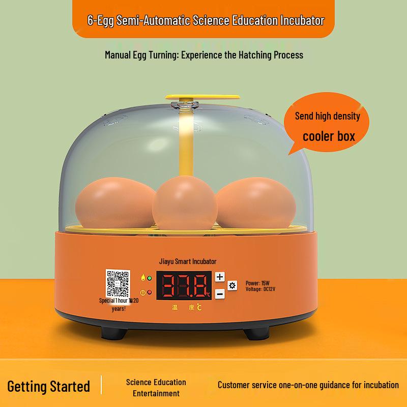 Smart Fully Automatic Small Egg Incubator for Home & Kids