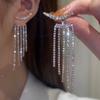 Funkelnde Lange Quasten-Hängeohrringe für Damen Zirkon-Ohrringe Glänzend Hochzeit Statement Party Exquisiter Schmuck Geschenke