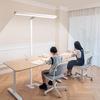 Eye-Protecting Floor Lamp: Full-Spectrum, Shadowless Design for Studying and Reading