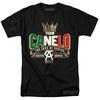 Team Canelo Alvarez Tee Mexico Champion Boxing Graphic Design T-shirt
