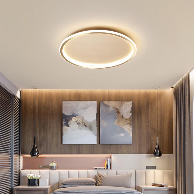 Nordic Modern LED Ceiling Lamp with 3-Color Dimming