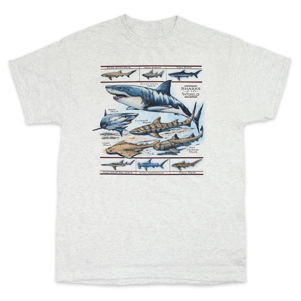 Field Guide To Sharks Adult Ash T-shirt M