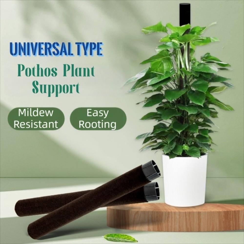 Ventilate Climbing Plant Stand Plastic Potted Plant Holder Climbing Vine Pillar Indoor Plant Use