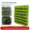 Vertical Wall Hanging Grow Bags for Balcony Greening and Flower Planting