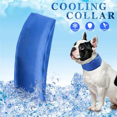 Collier de refroidissement pour chien d'été Colliers Prévention du coup de chaleur Collier de glace fraîche