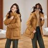 Women's Mid-Length Hooded Down Jacket - Winter Fashion Coat YE6320