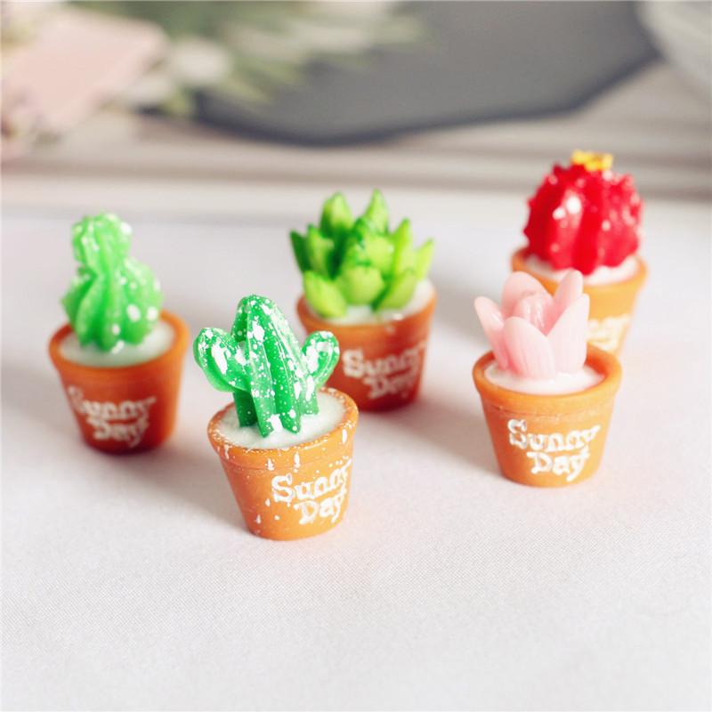 

5Pcs Miniature Plants Cactus Bonsai for Dollhouse Decor Horticultural Bonsai DIY Small Miniature Figurines Ornaments