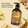 Ingwer-Shampoo – Reinigt und befeuchtet das Haar, stärkt und pflegt das Haar, reduziert Spliss und Haarbruch – Geeignet für alle Haartypen, 300 g